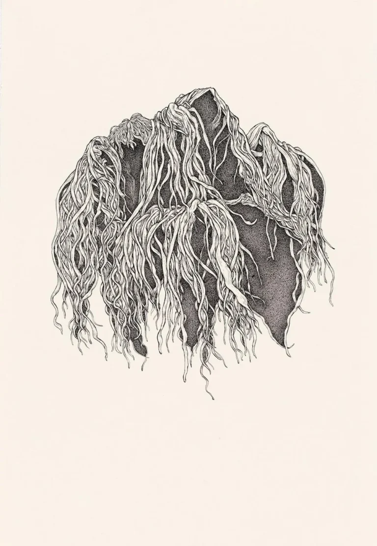 Epiphyte I