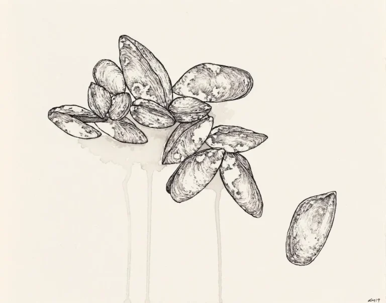 Mussels, Ohingaroa Bay