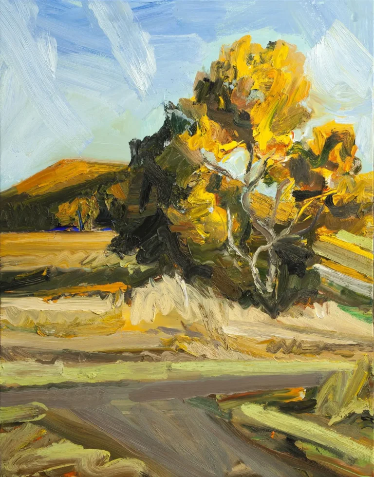 Afternoon landscape