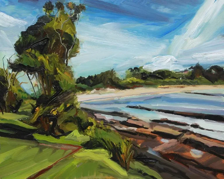 Large view of South Coast beach