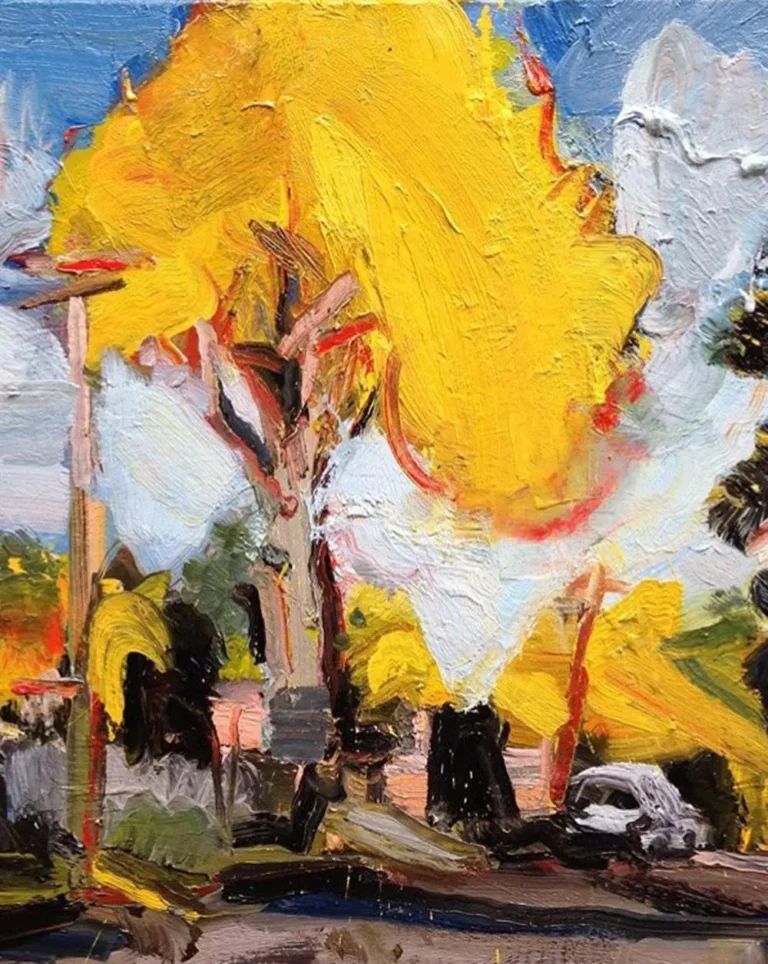 Blackheath afternoon landscape