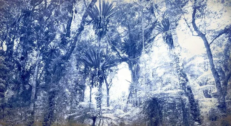 A sensual instinct (landscape and desire)