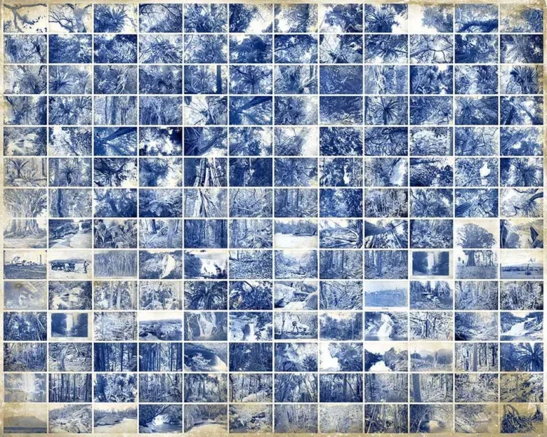 Fragments of anthology (the allure of memory)