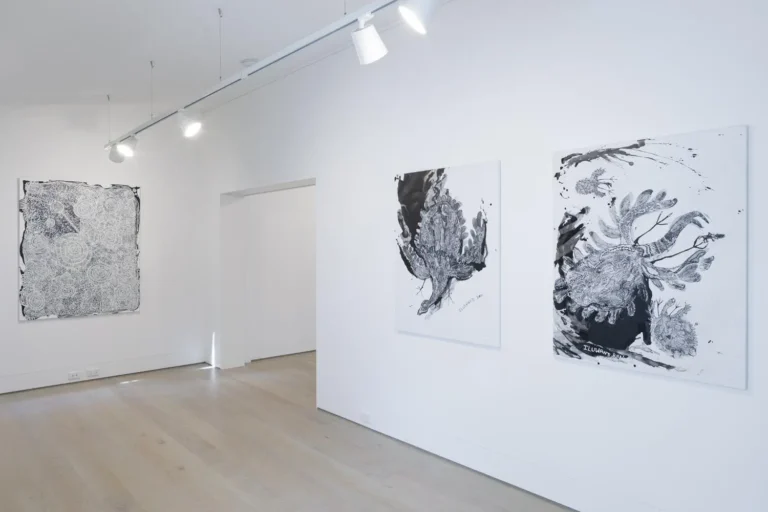 Installation view ‘Mara Ala - Open Hands’