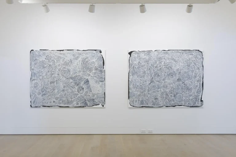 Installation view ‘Mara Ala - Open Hands’