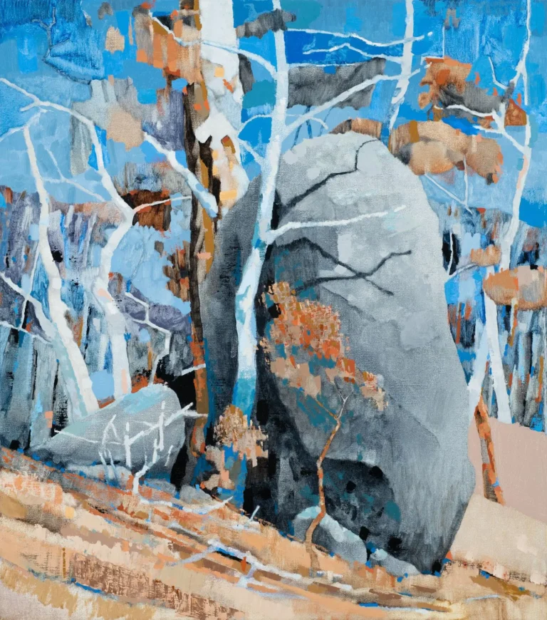 Large boulder, Bald Hill