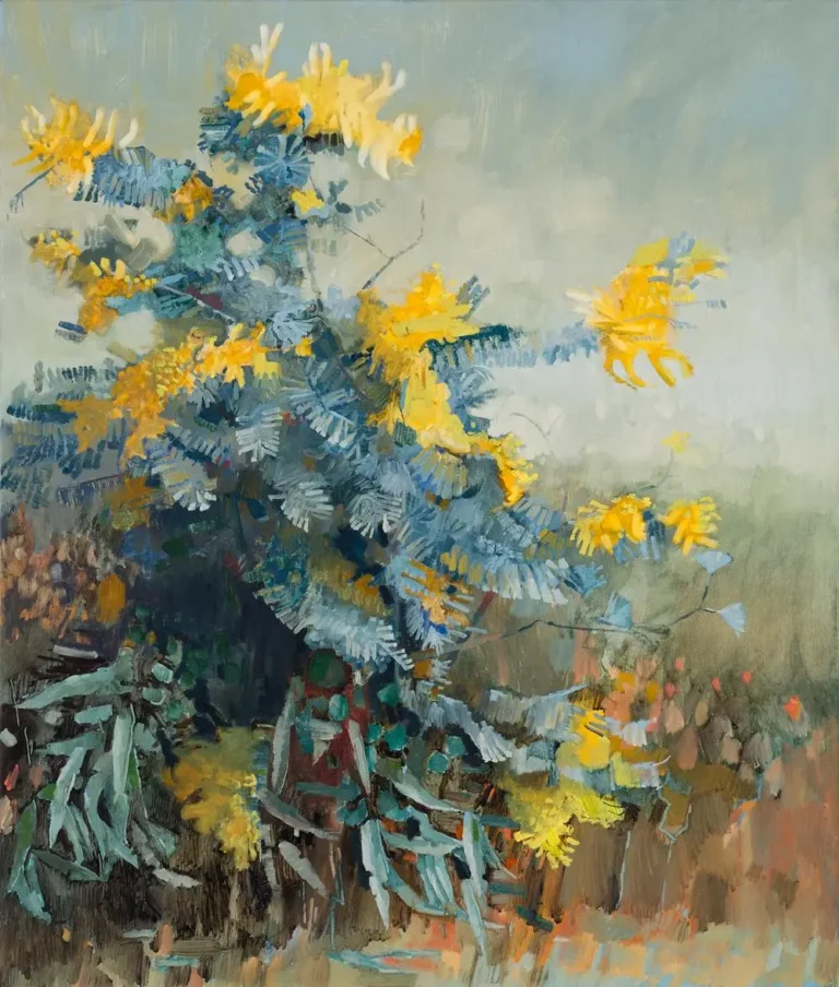 Wattle at Darebin Creek