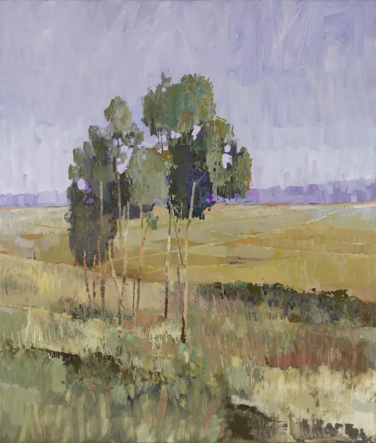 Afternoon light in the You Yangs