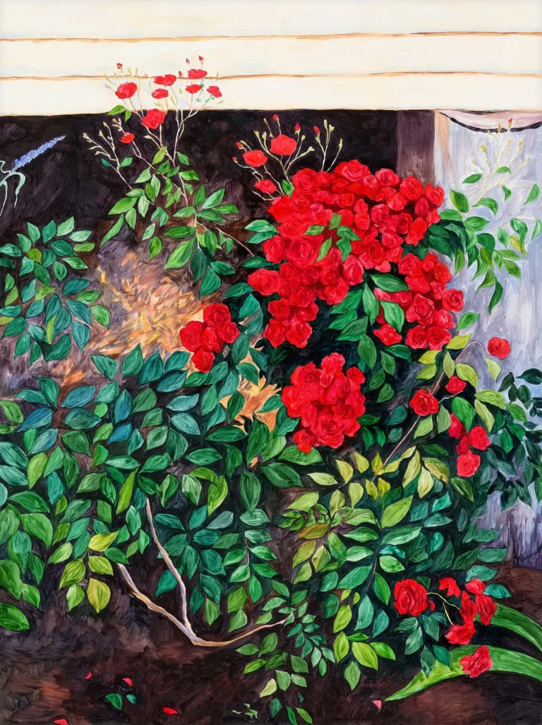 Nanna’s roses