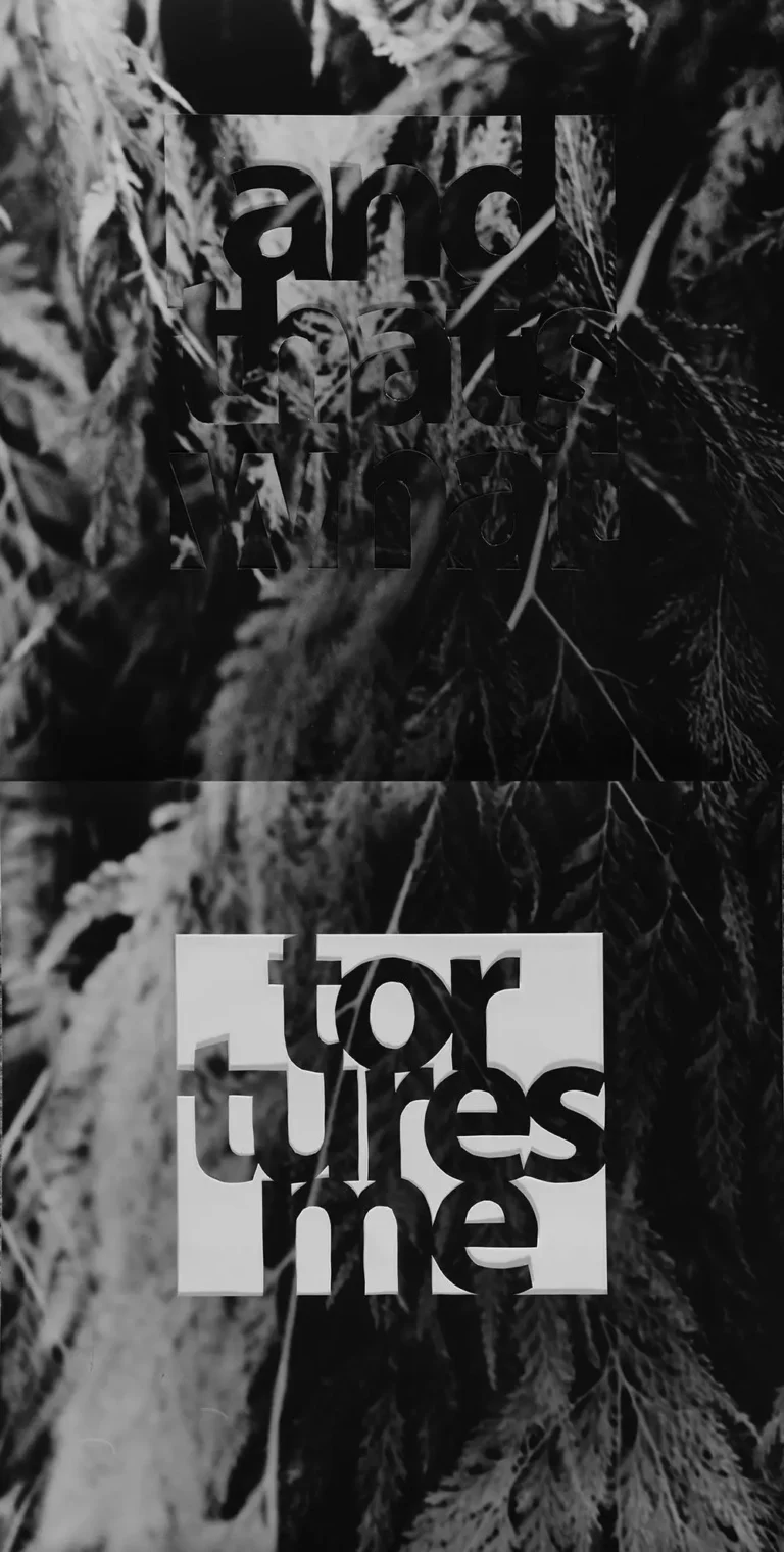 and that’s what tortures me