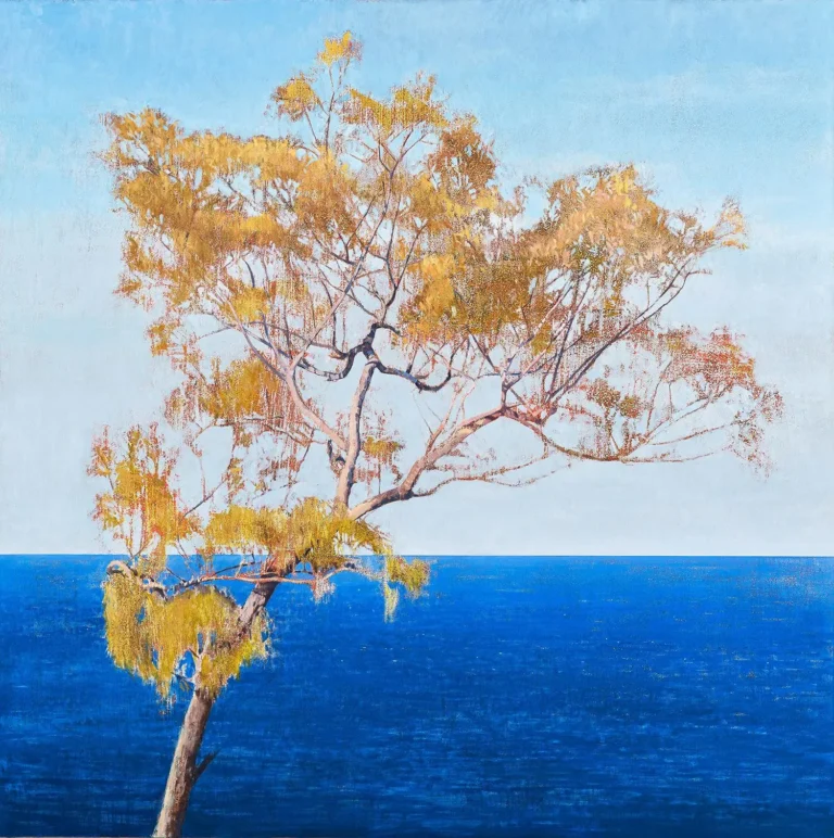 She-oak at Point Lookout