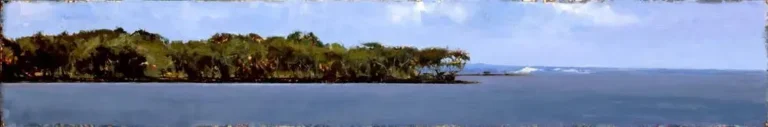 Bird Island