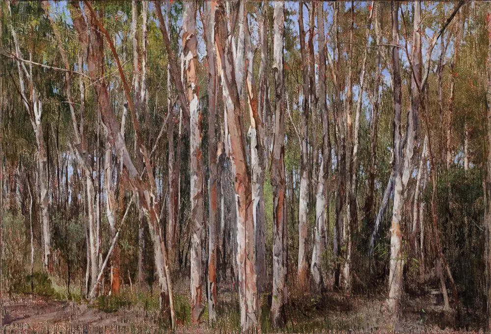 One year later, Stradbroke Island