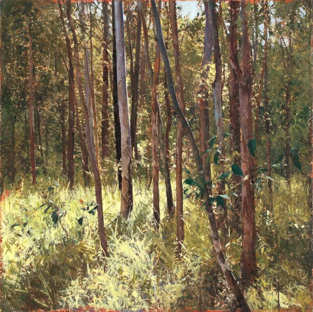 Hinterland
