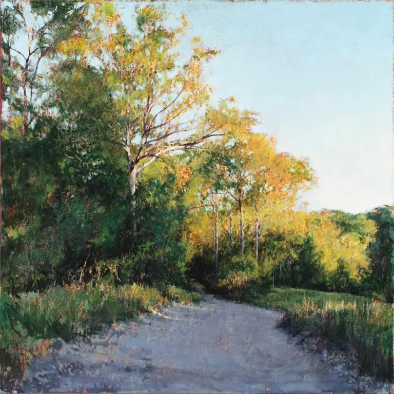 Into the forest (afternoon light)