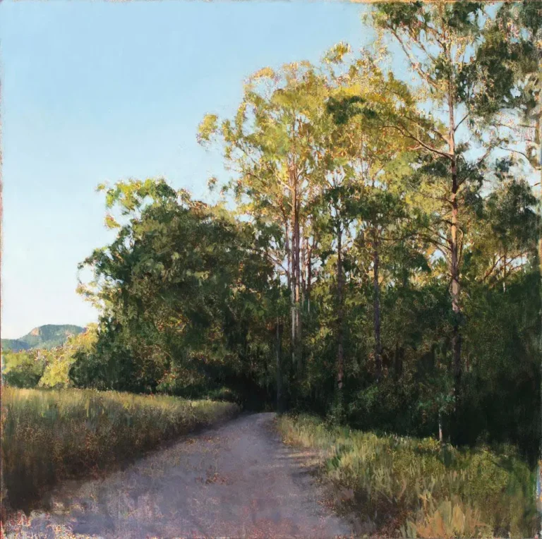 Into the forest (towards Mt. Ninderry)