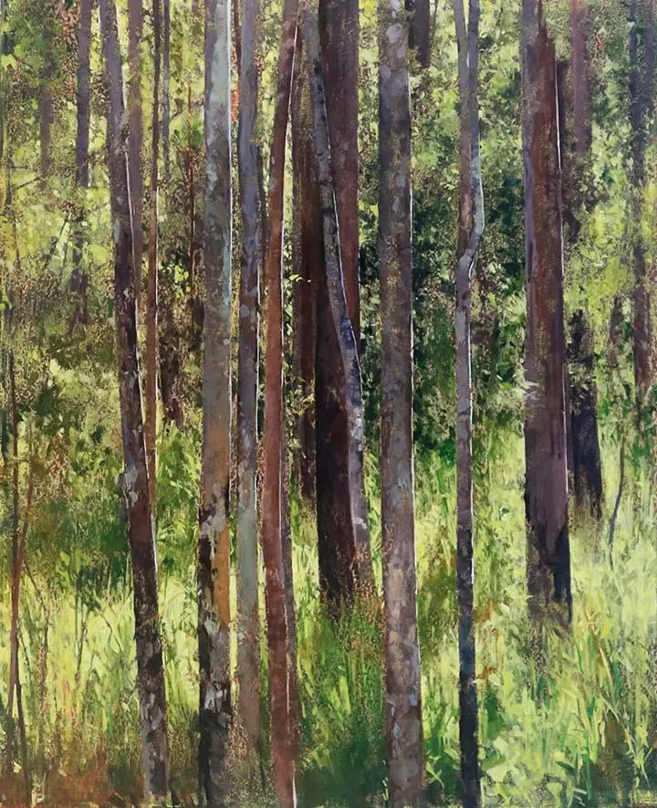 Sapling forest (morning light)