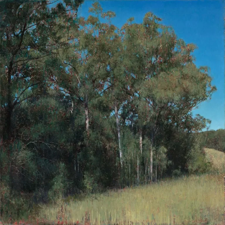 The bush