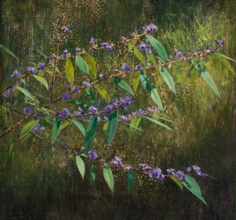 Hovea