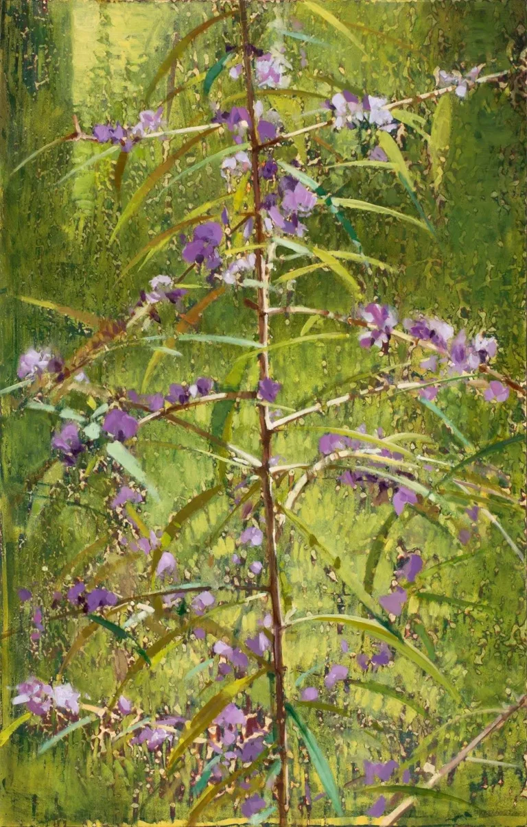 Hovea at Rocky Creek