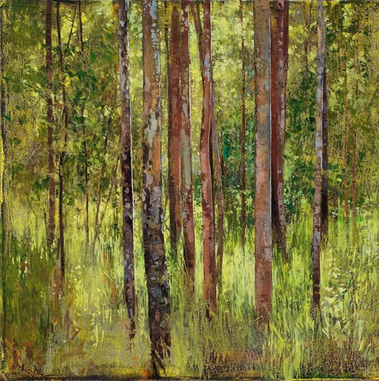Saplings at Rocky Creek