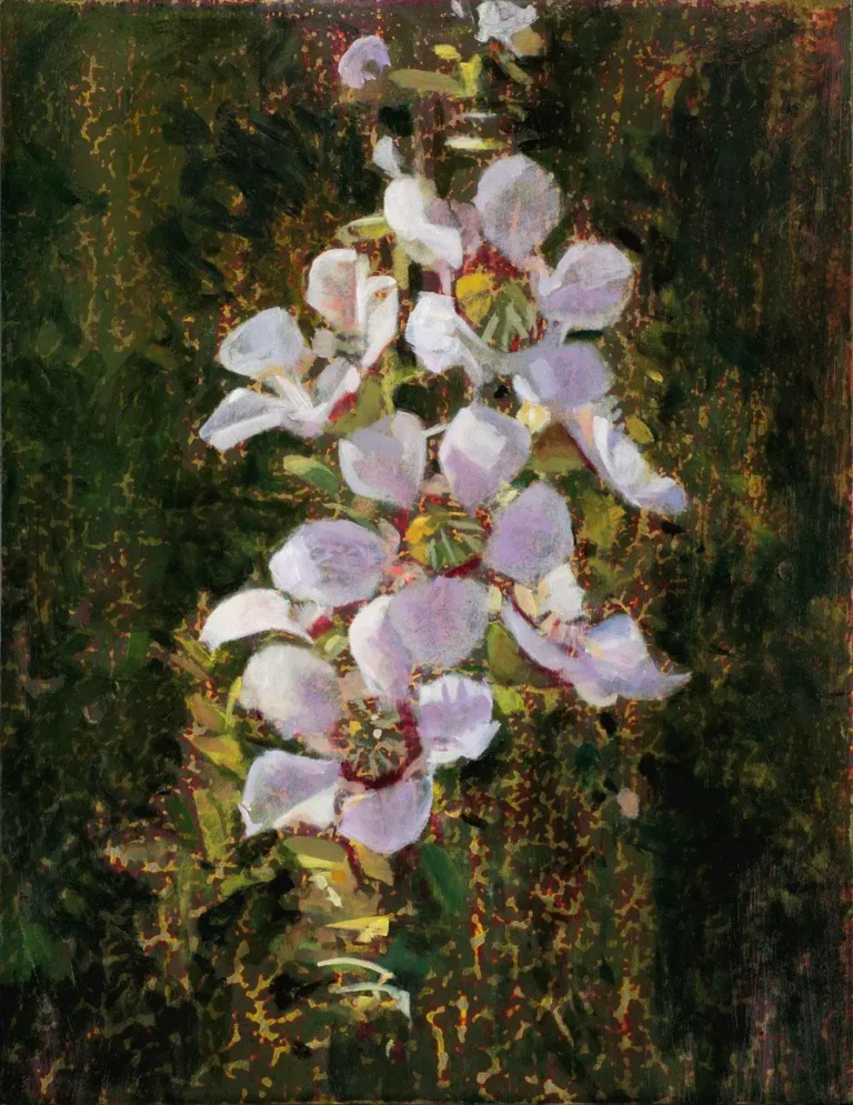 Wallum tea tree flowers
