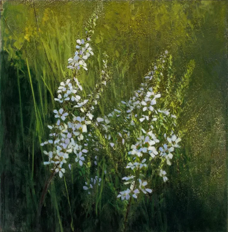 Wallum tea tree and sedge