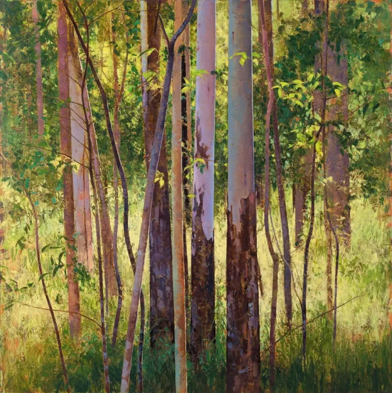 Gums and Wattles, Rocky Creek