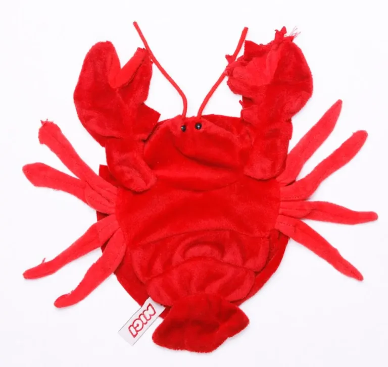 Shrimp