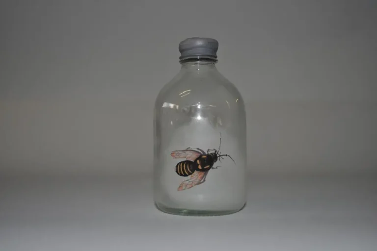 INSECT #50