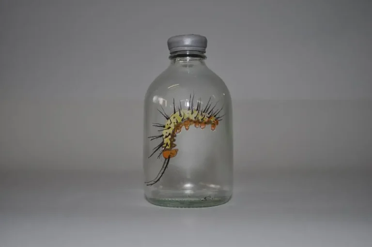 Insect #52