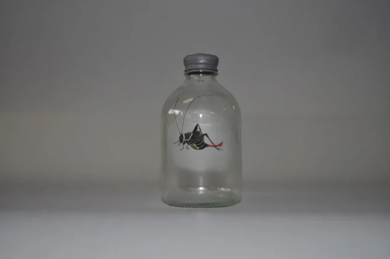 Insect #55
