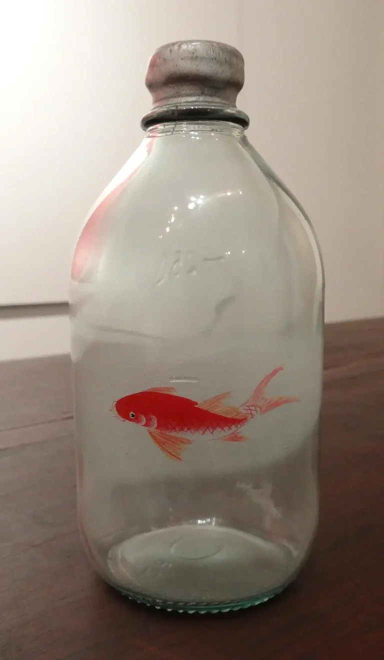Fish #7