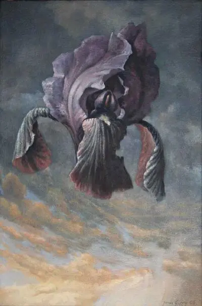 Study For Dark Iris