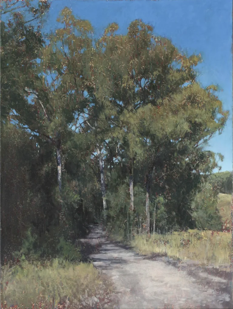 Into the forest (midday)