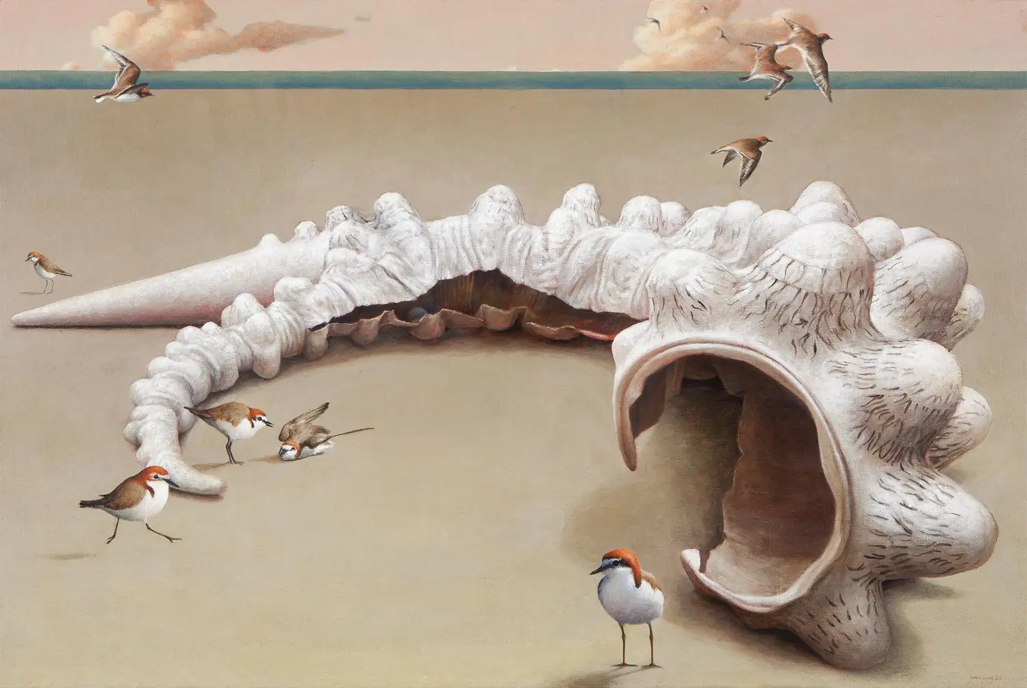Bronwyn and the Dotterels