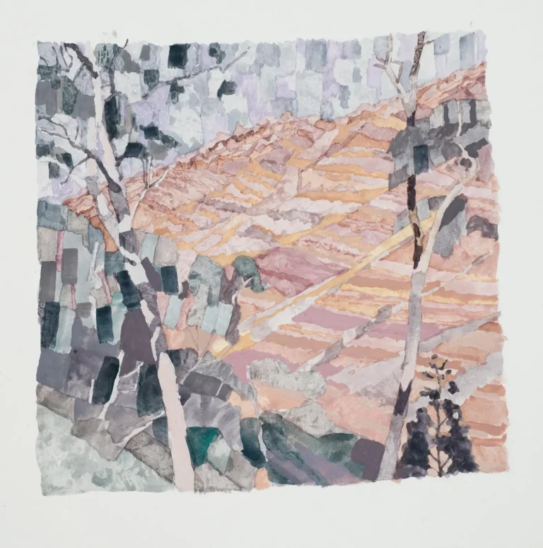 Gammon Ranges 20.9.25