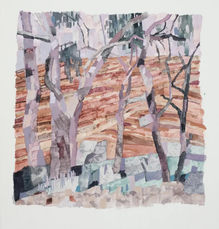 Gammon Ranges 19.9.25