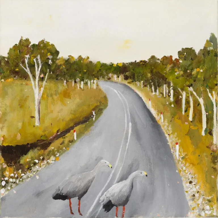 Cape Barren geese crossing the road