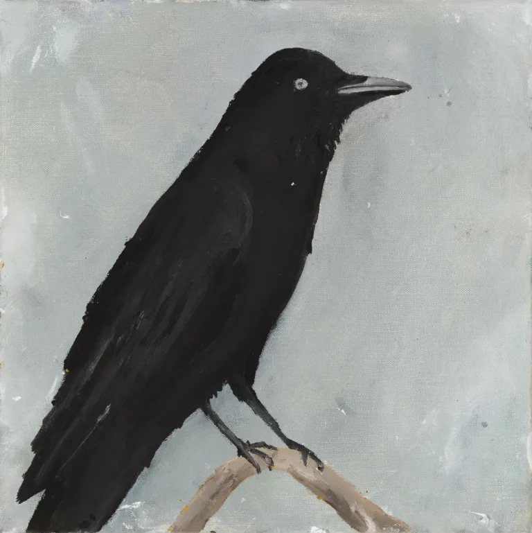 Raven