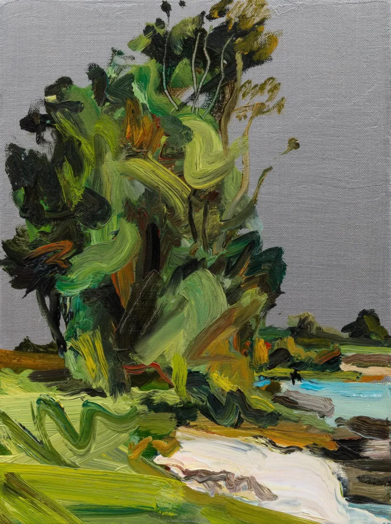 Silver coastal tree